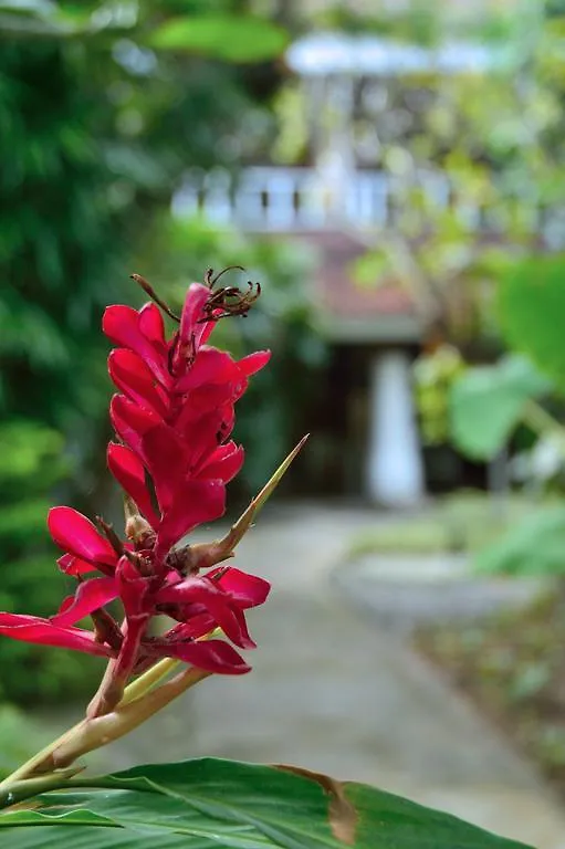 Inn Desa Nyima Hotel Seminyak